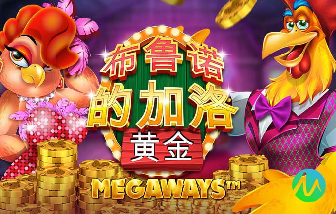 新奥门特免费资料大全火凤凰